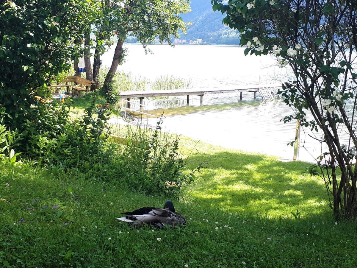 Maren Seeblick Appartement Haus Haensel&Gretel Direkt Am Ossiacher See Mit Hallenbad Stiegl Dış mekan fotoğraf